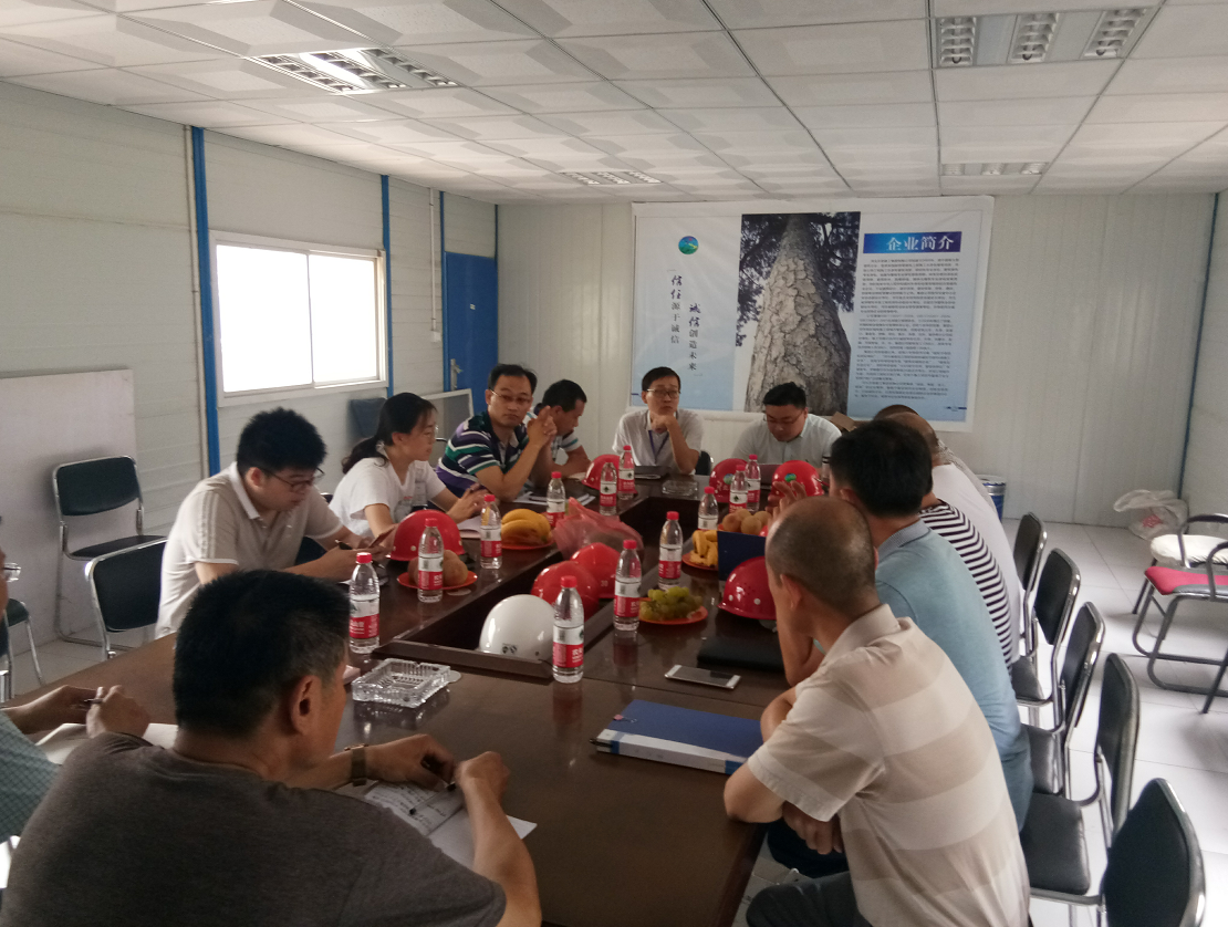 河北亚星国际平台建工集团开展工程项目联合检查